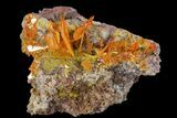 Orange Wulfenite Crystal Cluster - Rowley Mine, Arizona #118953-1